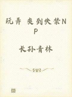 玩弄 爽到失禁NP
